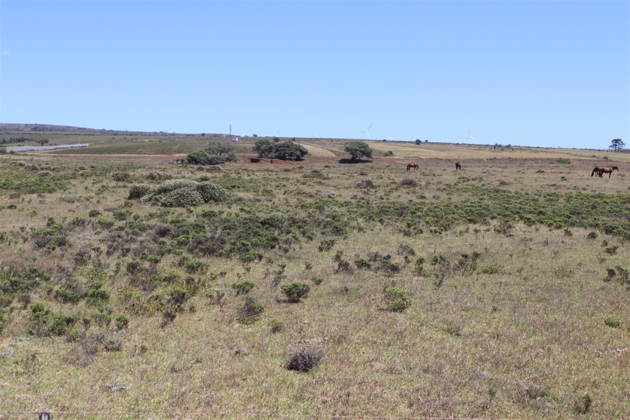Commercial Property for Sale in Wavecrest Eastern Cape